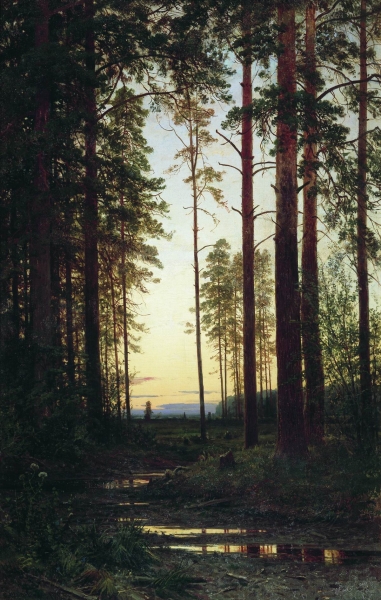 Сумерки. 1883