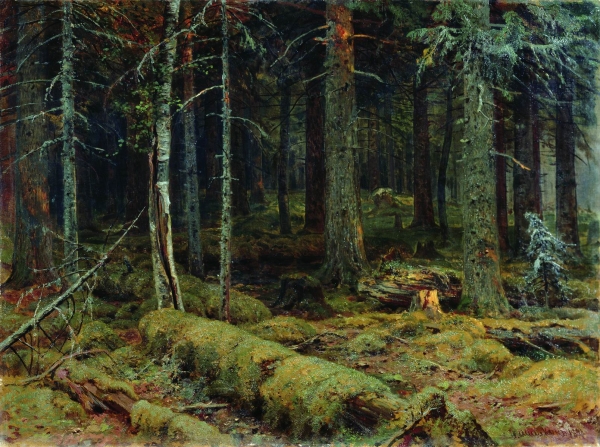 Темный лес. 1890