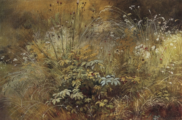 Травки. 1892 Этюд