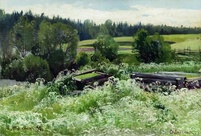 В Сиверской. 1896