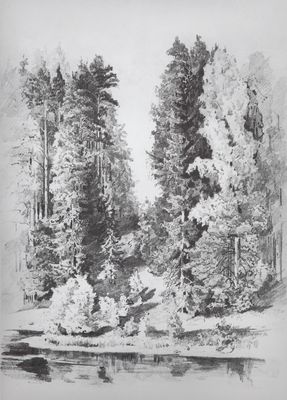 В парке. 1880-е