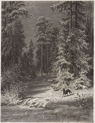 Зимняя ночь. 1876