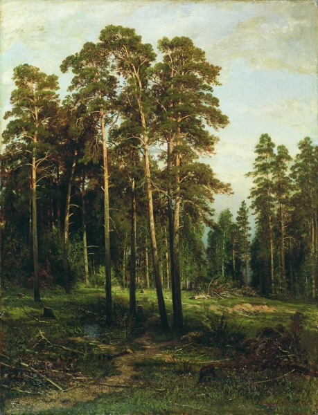 Сосновый лес