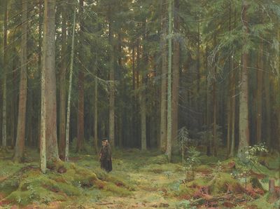 «В лесу графини Мордвиновой. Петергоф», 1891