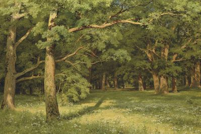 "Лесная поляна", 1896