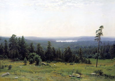"Лесные дали", 1884