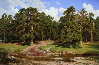 "Сосновый бор", 1895