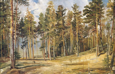 «Сосны. Солнечный день», 1890-е