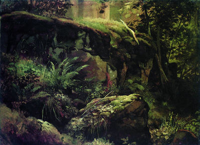 «Камни в лесу. Валаам», 1800-е