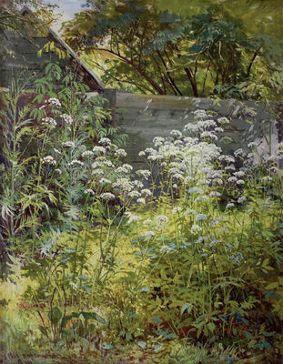 "Уголок заросшего сада. Сныть-трава", 1884