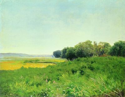 Мокрый луг. 1872 Этюд