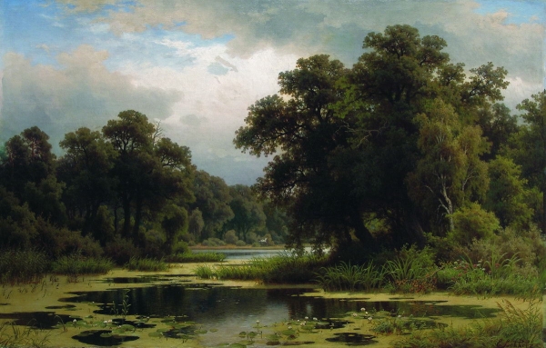Заросший пруд. 1880-e