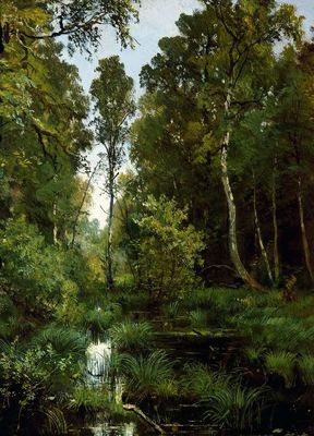 «Заросший пруд у опушки леса. Сиверская», 1883