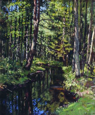 Лесная чаща. Речка. 1910-е