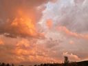 IMG_0349.jpg
