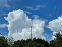 IMG_0777.jpg