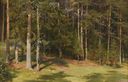 Ivan_I__Shishkin_-_Polyana_1878.jpg
