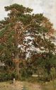 Peyzazh_s_sosnoy_28Shishkin29.jpg