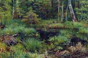 Rodnik_v_lesu_28Shishkin29.jpg