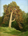 Shishkin2C_Sosna__Merikyul2C_1894.jpg