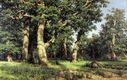 Shishkin_Dubovaya_roshcha.jpg