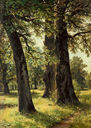 Shishkin_Duby_1887.jpg