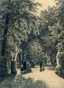 Shishkin_Ivan_Ivanovich2C_Alleya_Letnego_sada_v_Peterburge__1869.jpg