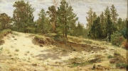 Shishkin_Ivan_Ivanovich2C_Molodye_sosenki_u_peschanogo_obryva__Meri-Hovi_po_Finlyandskoy_zheleznoy_doroge__1890_Etyud.jpg