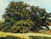 Shishkin_Ivan_Ivanovich2C_Mordvinovskie_duby__1891.jpg