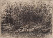 Shishkin_Ivan_Ivanovich2C_Muraveynik__1885.jpg