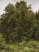 Shishkin_Ivan_Ivanovich2C_Na_opushke__1885.jpg