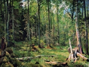 Shishkin_Ivan_Ivanovich2C_Smeshannyy_les_28Shmeck_bliz_Narvy29__1888.jpg