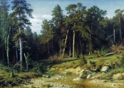 Shishkin_Ivan_Ivanovich2C_Sosnovyy_bor__Machtovyy_les_v_Vyatskoy_gubernii__1872.jpg