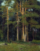 Shishkin_Ivan_Ivanovich2C_Sosnovyy_bor_u_Ligova__1895.jpg