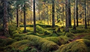 Shishkin_Ivan_Ivanovich2C_Staryy_valezhnik__Lesnoe_kladbishche__1893.jpg